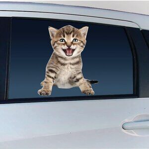 *NEW* Funny Cat Car Window Decal - Striped Kitten 10.5" High